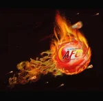 Boule d’extinction de feu automatique AFO – Image 5