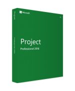 Microsoft Project 2016 Professionnel