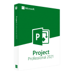 Microsoft Project 2021 Professionnel – Image 2